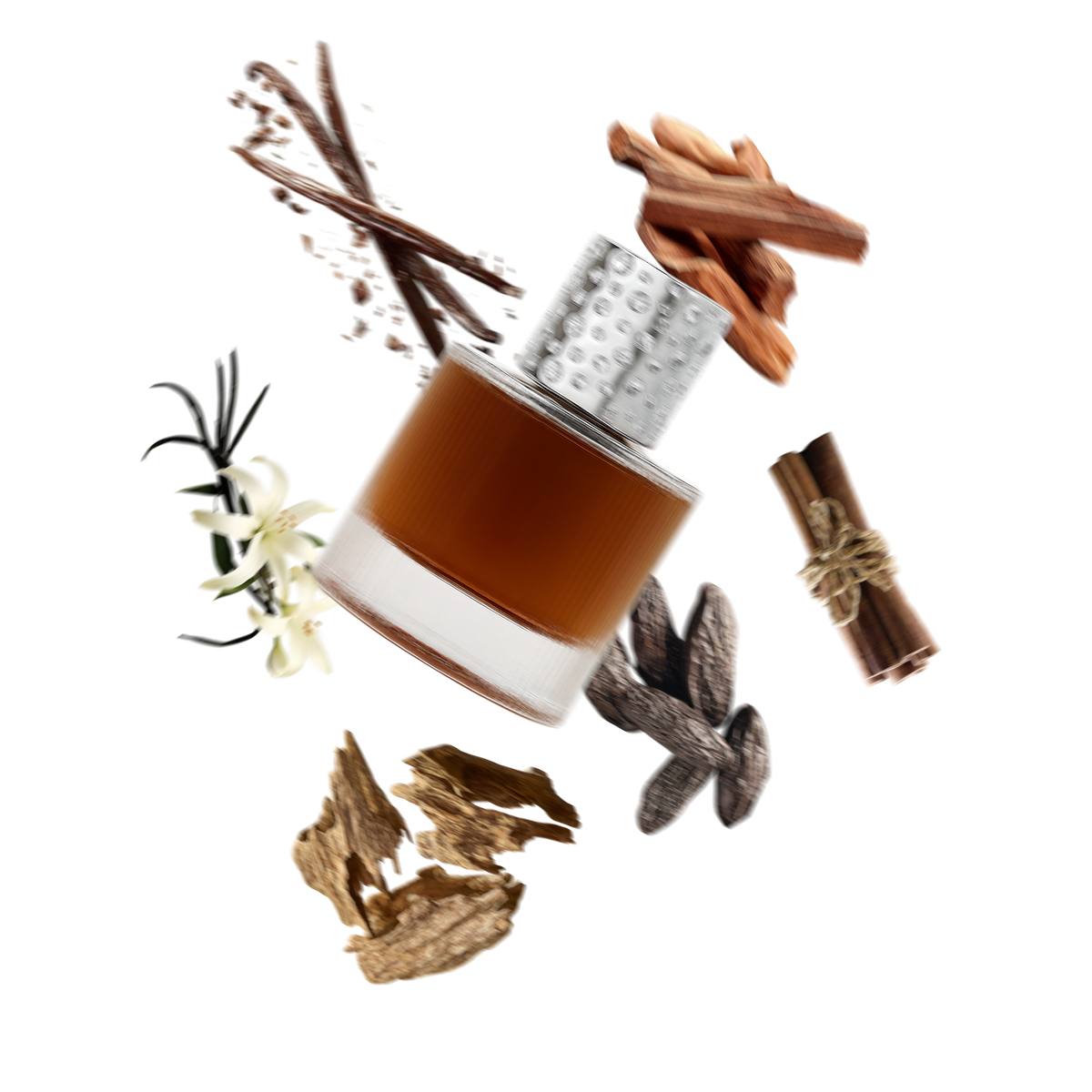 Which Fragrance Attracts Women the Most? The Science of Scent and Desire