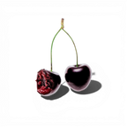 Midnight Cherry